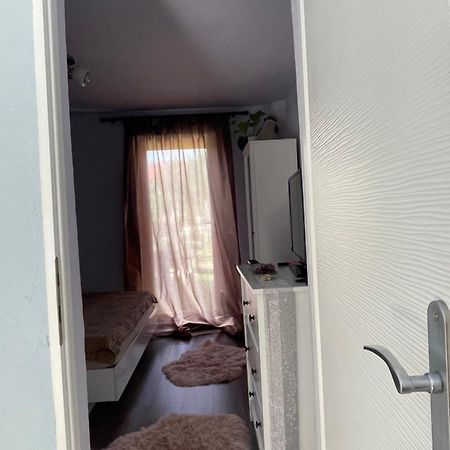 Garsoniera La Casa Apartment Timisoara Ngoại thất bức ảnh