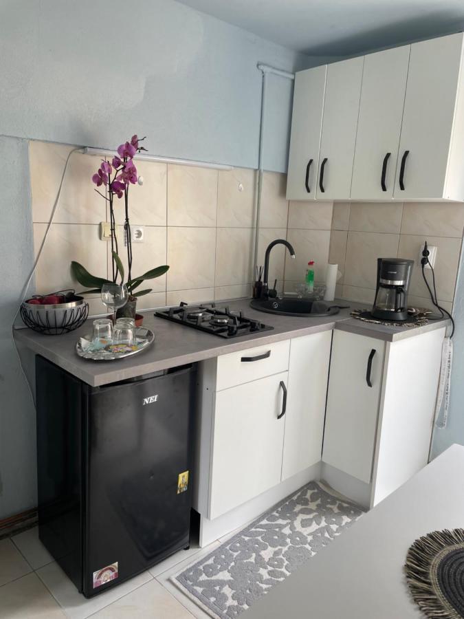 Garsoniera La Casa Apartment Timisoara Ngoại thất bức ảnh