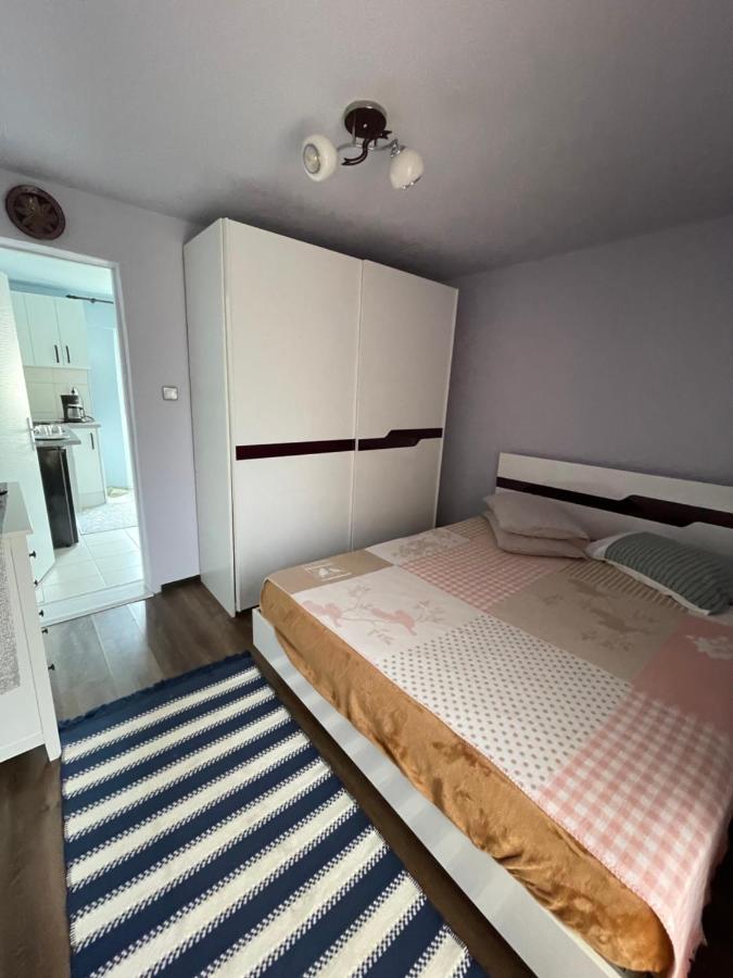 Garsoniera La Casa Apartment Timisoara Ngoại thất bức ảnh