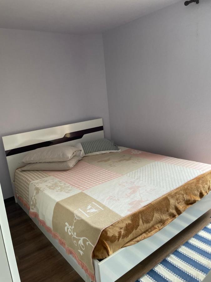 Garsoniera La Casa Apartment Timisoara Ngoại thất bức ảnh