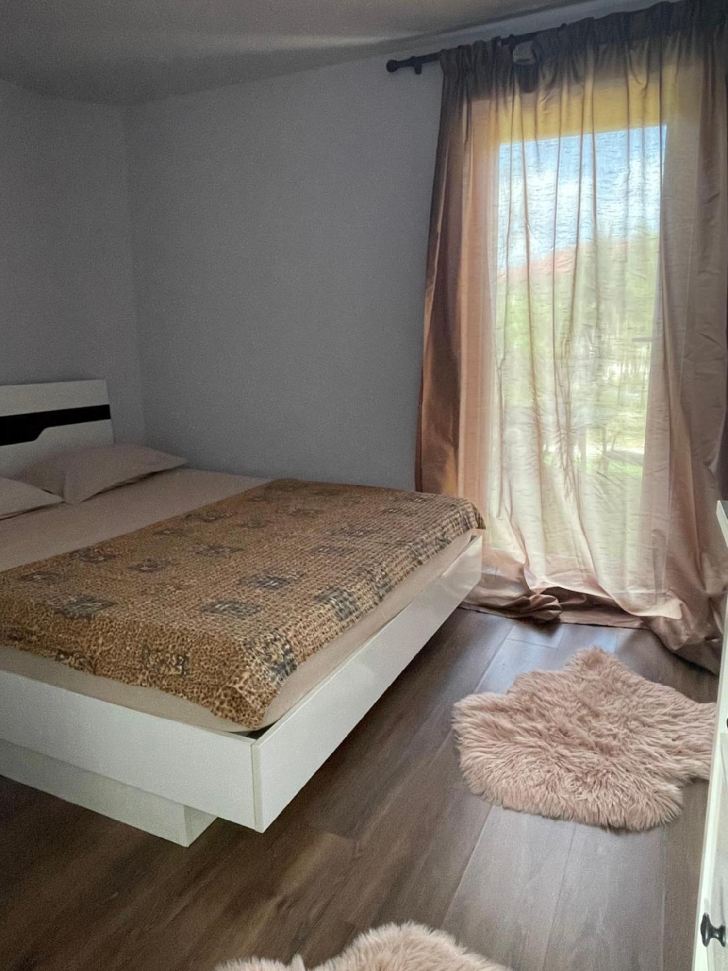 Garsoniera La Casa Apartment Timisoara Ngoại thất bức ảnh